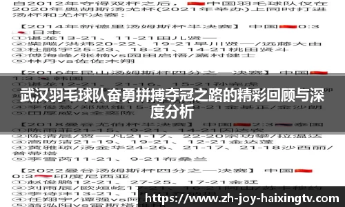 武汉羽毛球队奋勇拼搏夺冠之路的精彩回顾与深度分析